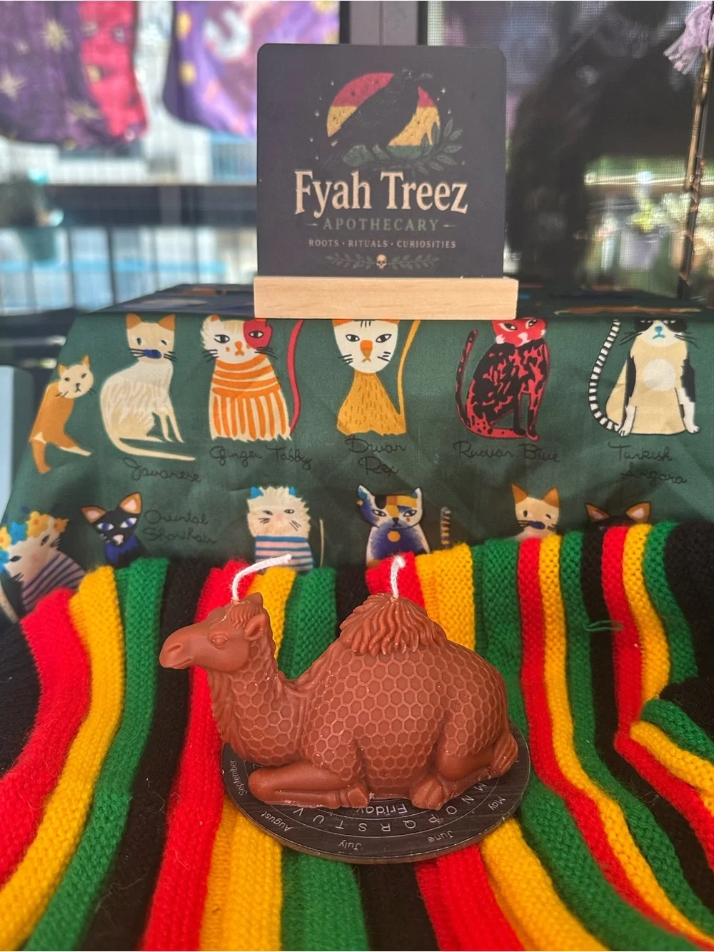 Camel Candle – Double Wick